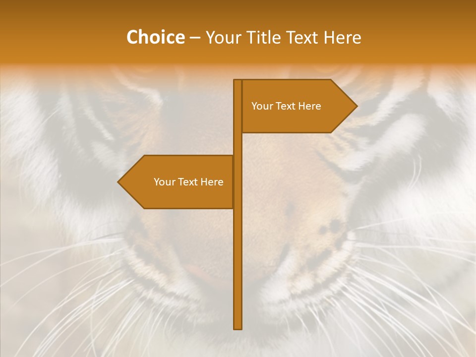 Grandmother Assist Help PowerPoint Template
