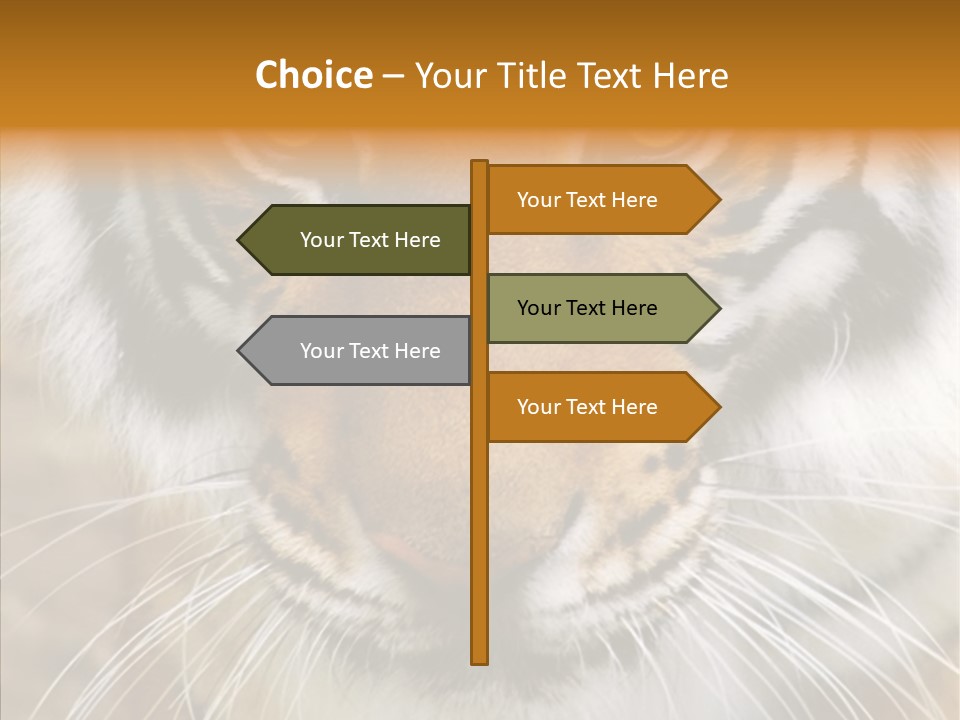 Grandmother Assist Help PowerPoint Template