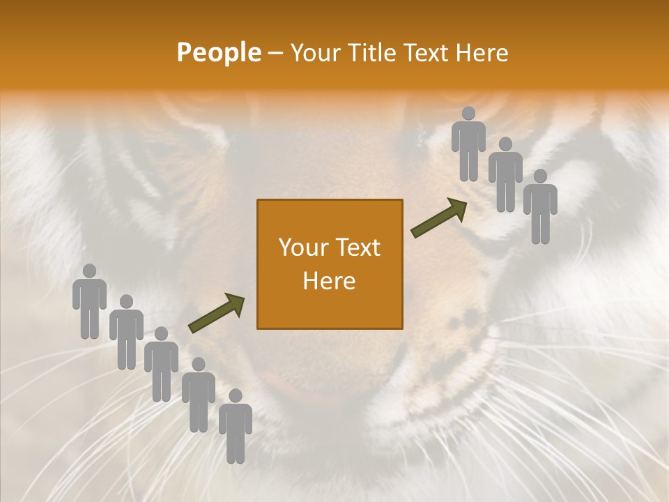Grandmother Assist Help PowerPoint Template