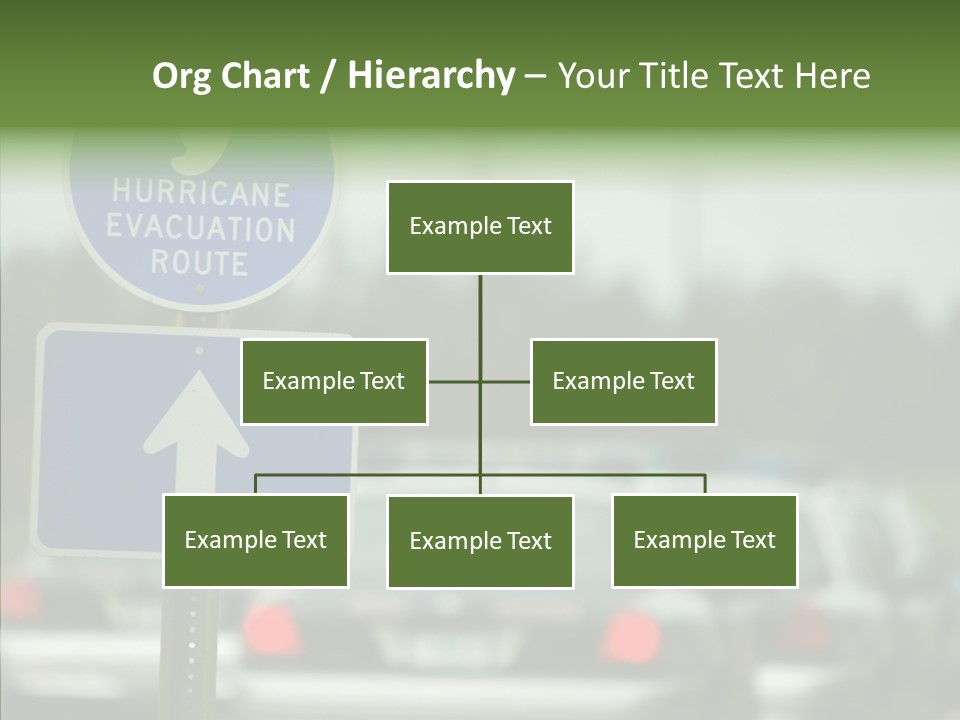 Young Aging Background PowerPoint Template
