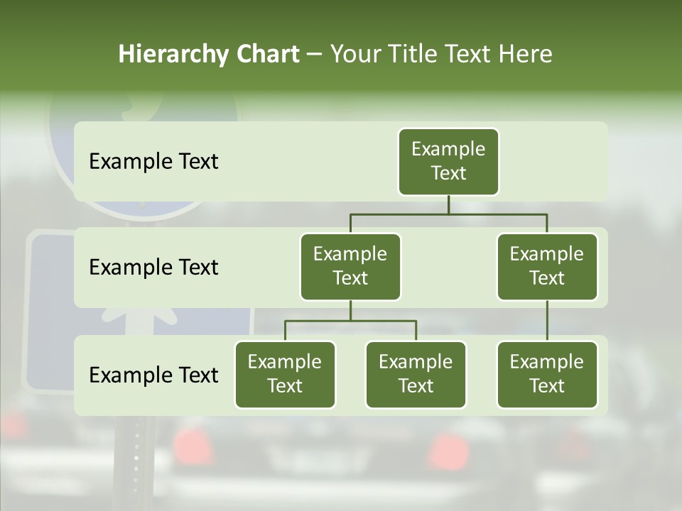 Young Aging Background PowerPoint Template