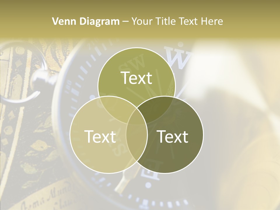 Aging Elder Help PowerPoint Template