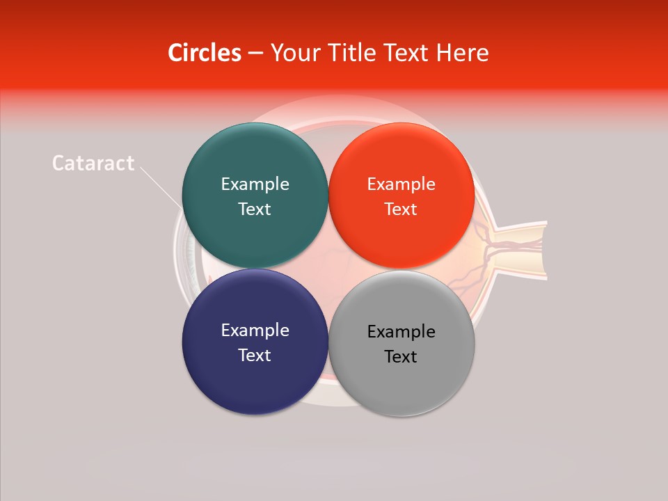 White Closeup Hold PowerPoint Template