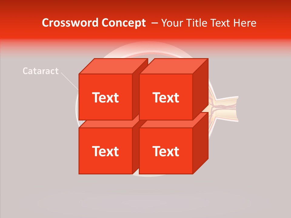White Closeup Hold PowerPoint Template
