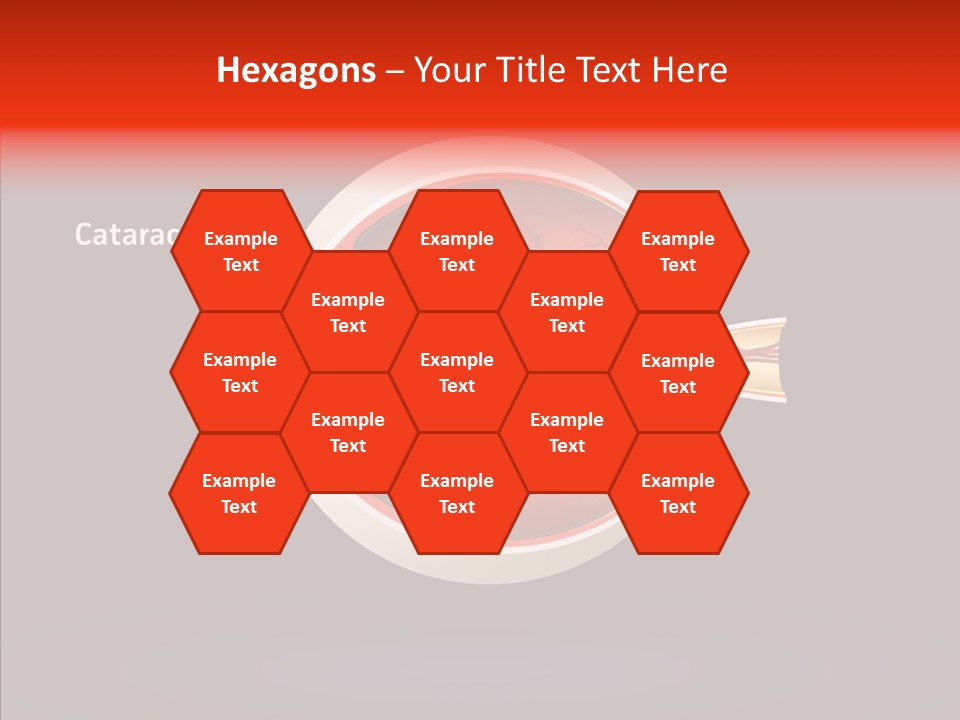 White Closeup Hold PowerPoint Template