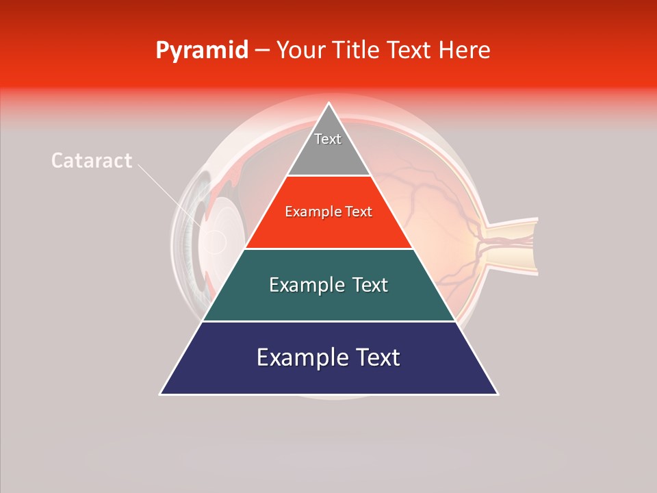 White Closeup Hold PowerPoint Template