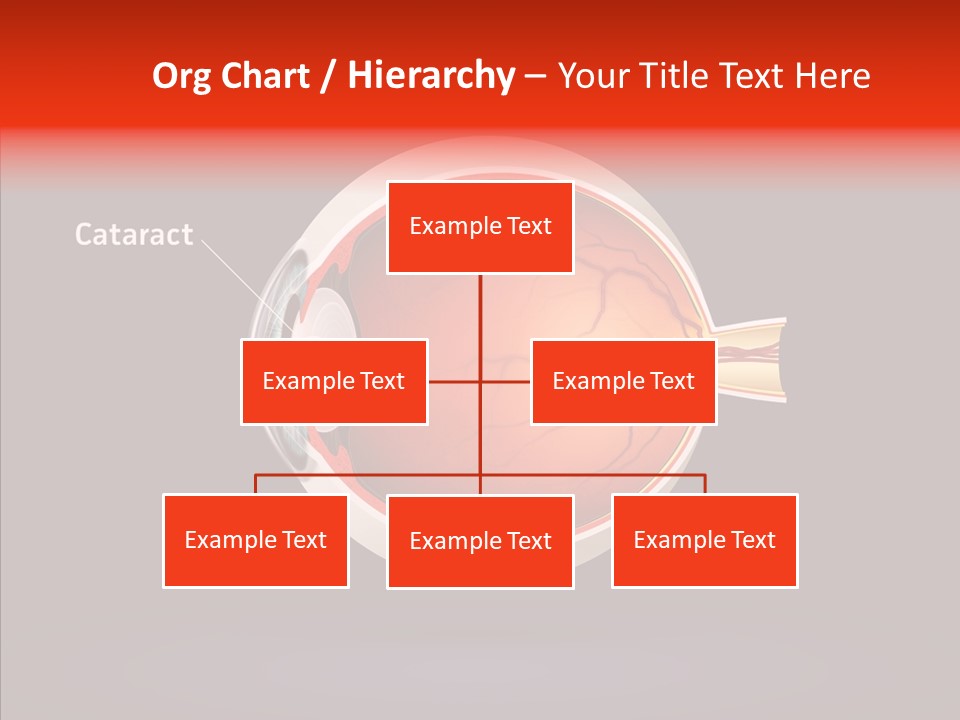 White Closeup Hold PowerPoint Template