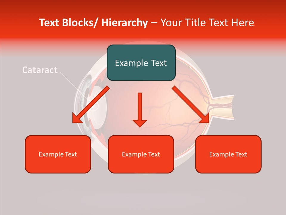 White Closeup Hold PowerPoint Template