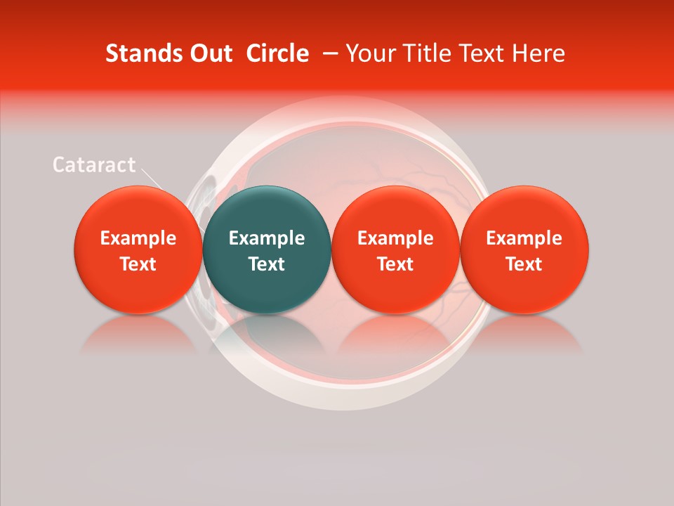 White Closeup Hold PowerPoint Template