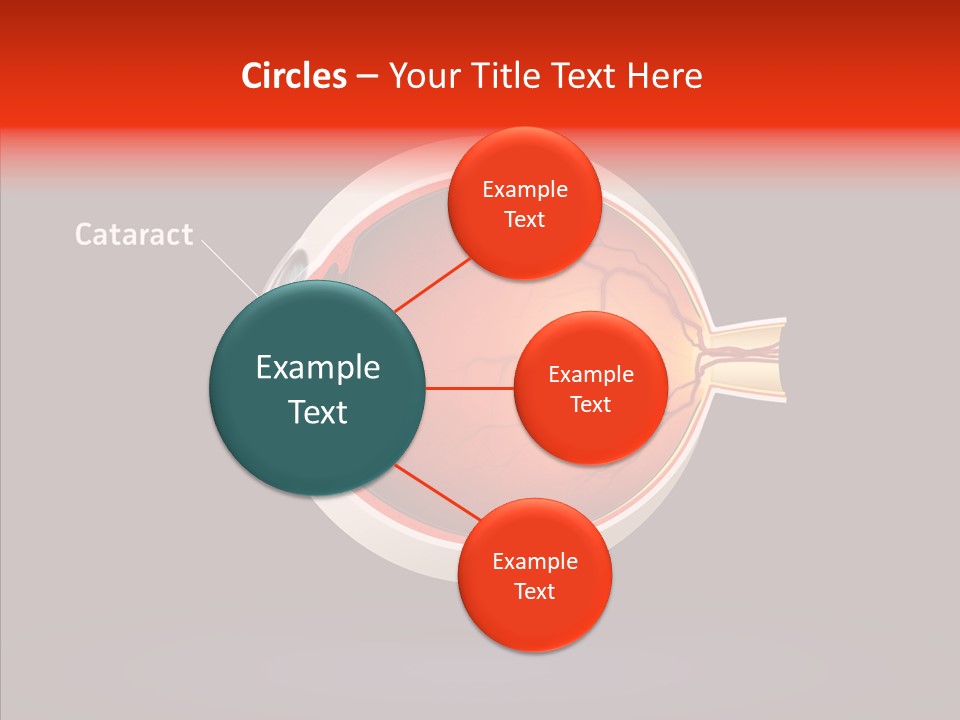 White Closeup Hold PowerPoint Template