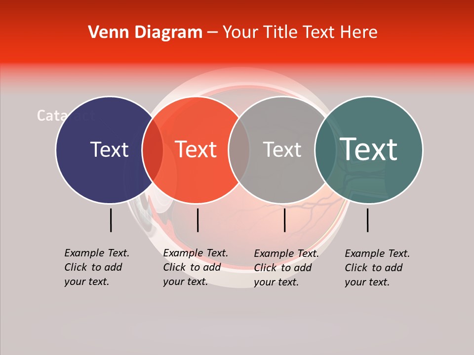 White Closeup Hold PowerPoint Template