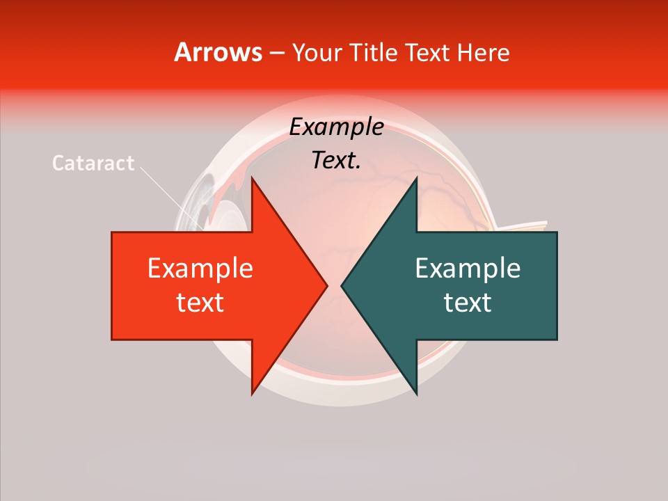 White Closeup Hold PowerPoint Template