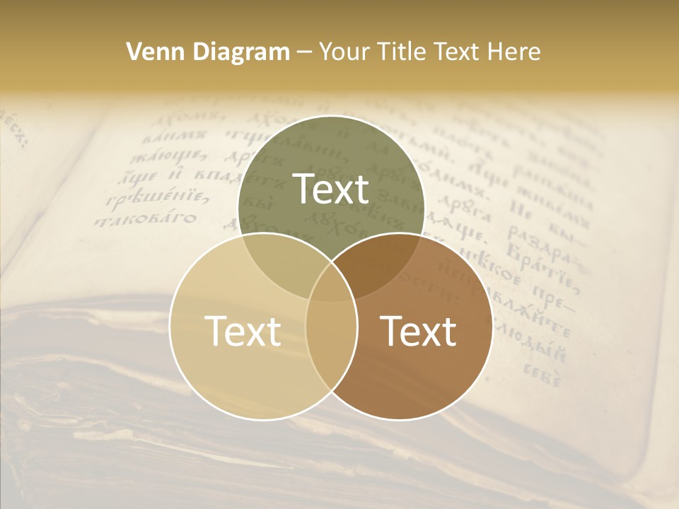 Senior  Grandmother Holding Hands PowerPoint Template