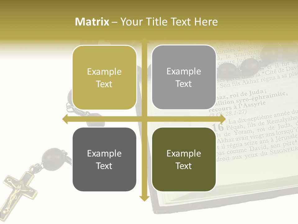 Assistance Female Senior PowerPoint Template