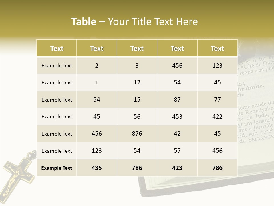 Assistance Female Senior PowerPoint Template