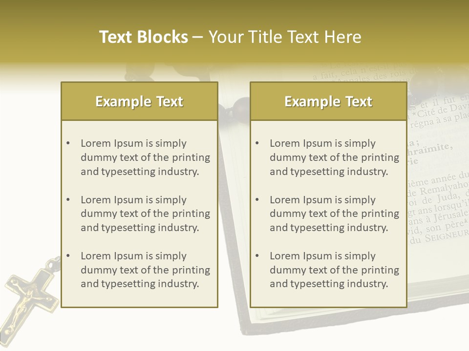 Assistance Female Senior PowerPoint Template