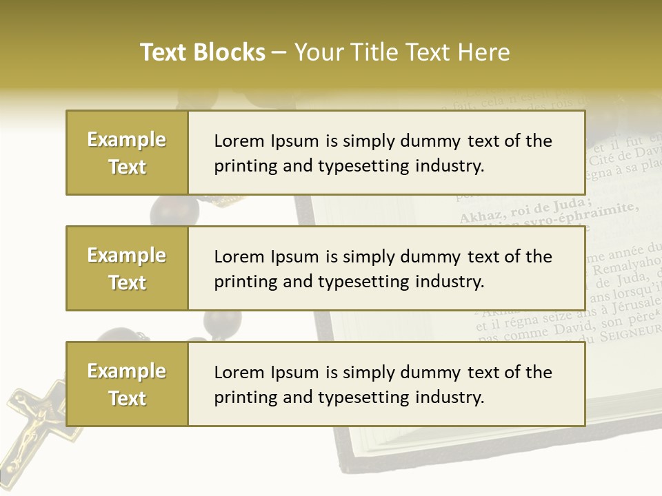 Assistance Female Senior PowerPoint Template