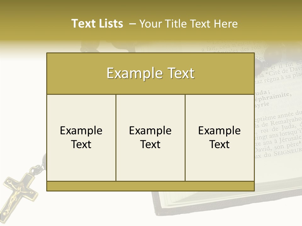 Assistance Female Senior PowerPoint Template