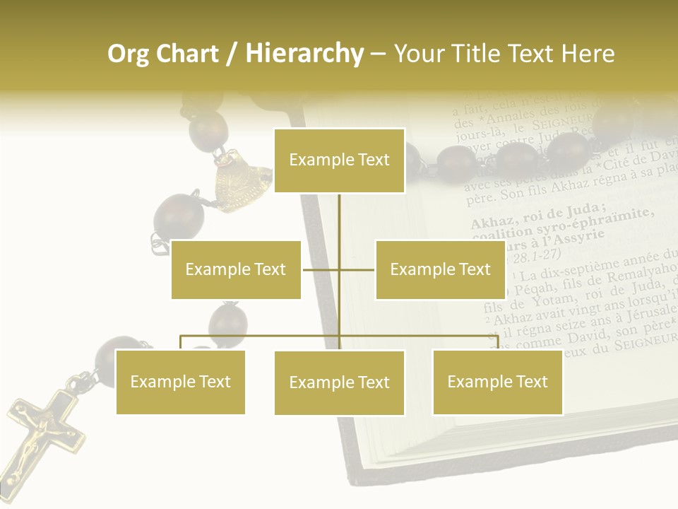 Assistance Female Senior PowerPoint Template
