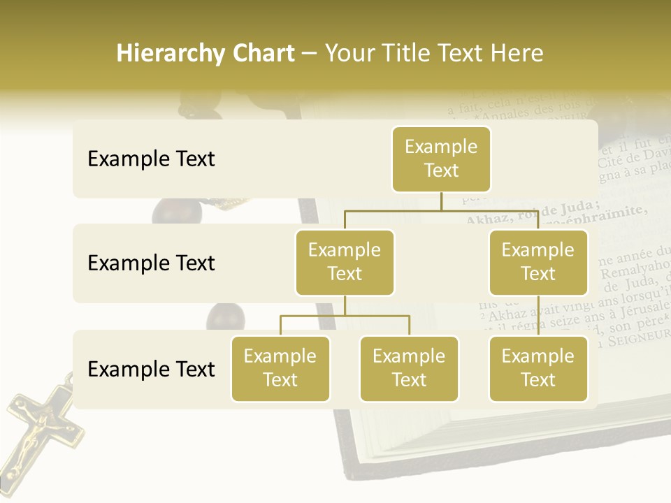 Assistance Female Senior PowerPoint Template