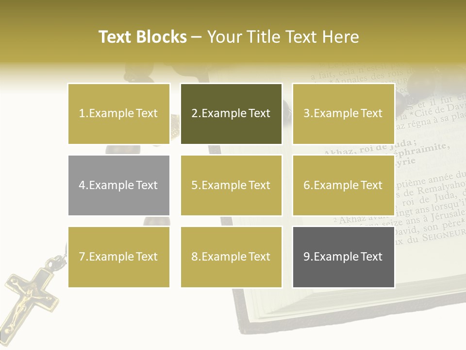 Assistance Female Senior PowerPoint Template