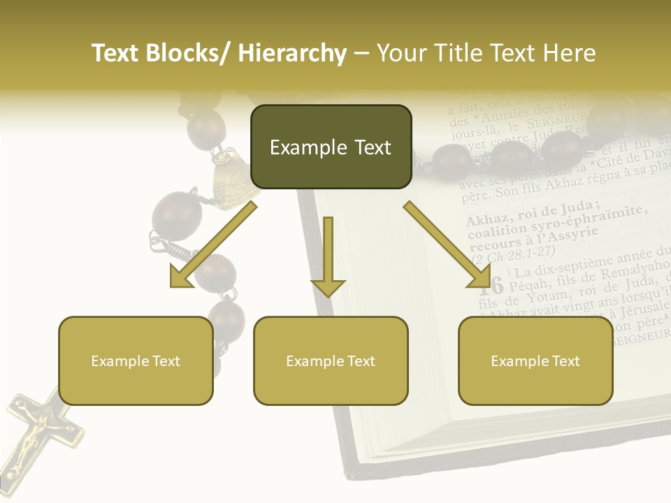 Assistance Female Senior PowerPoint Template