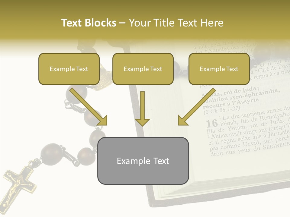 Assistance Female Senior PowerPoint Template