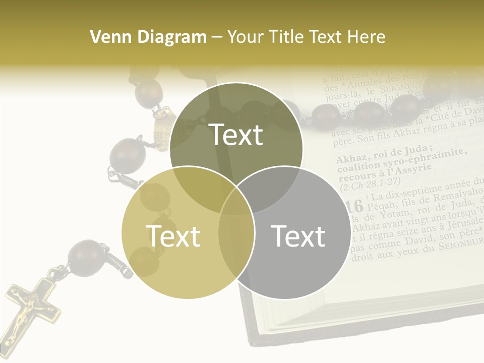 Assistance Female Senior PowerPoint Template