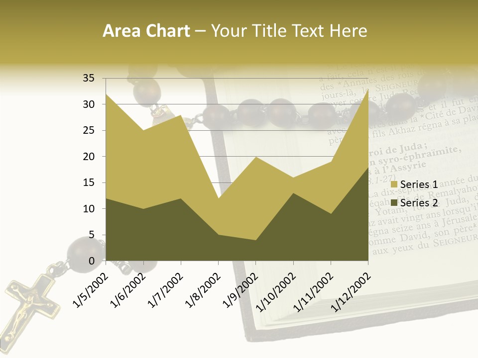 Assistance Female Senior PowerPoint Template