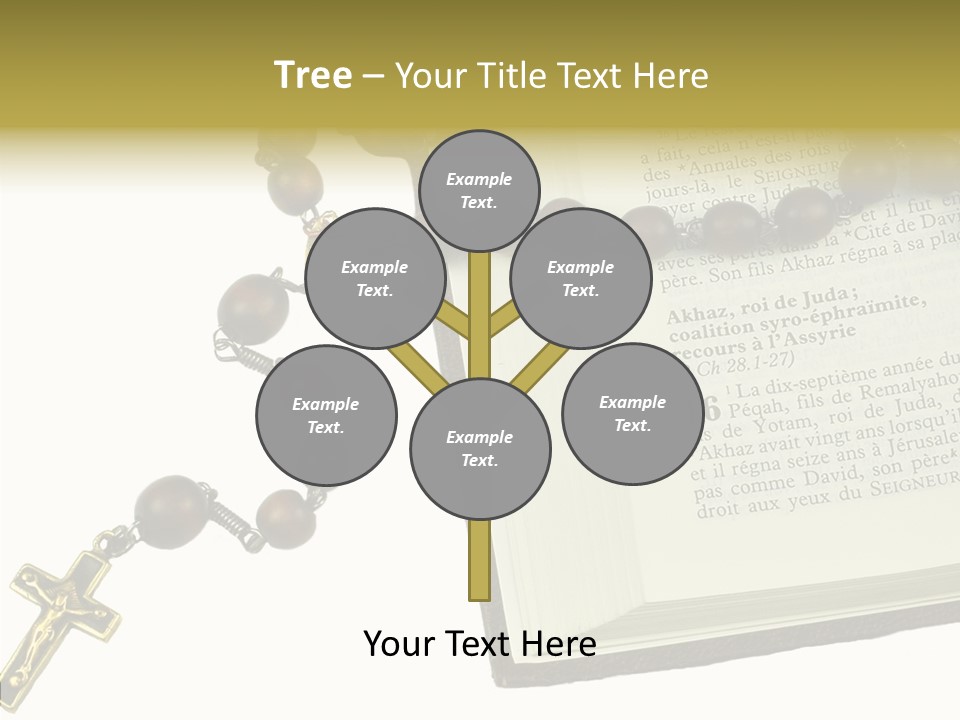 Assistance Female Senior PowerPoint Template