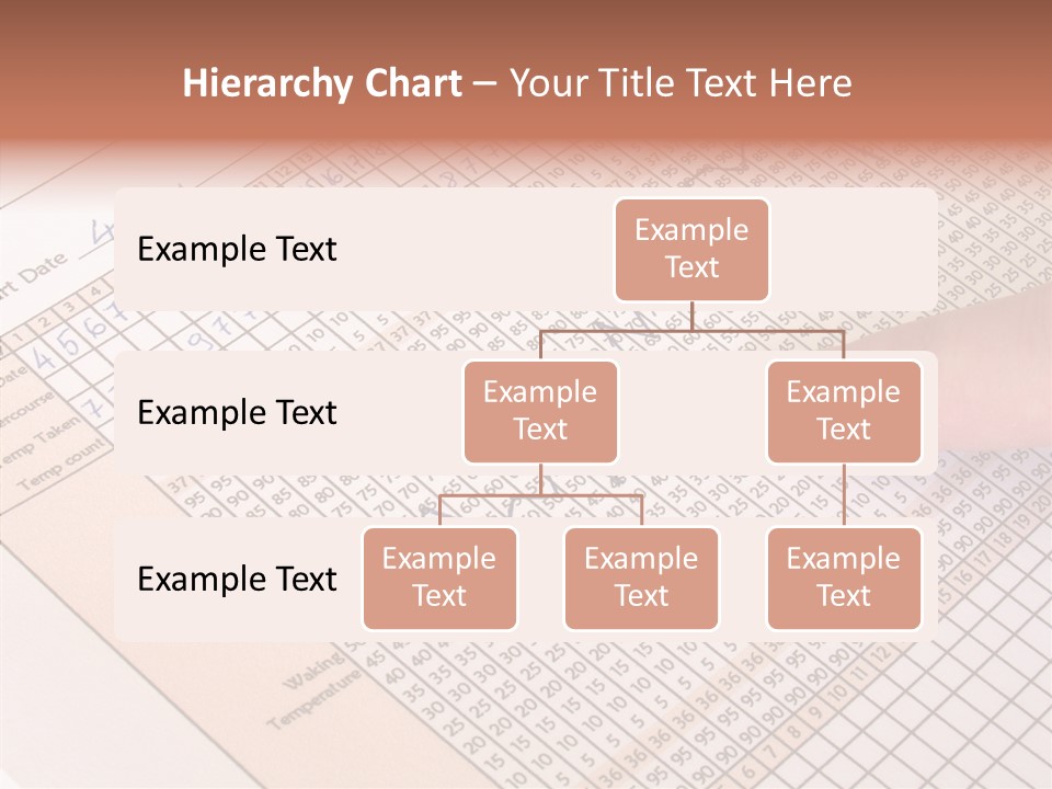 Closeup Women Elder PowerPoint Template