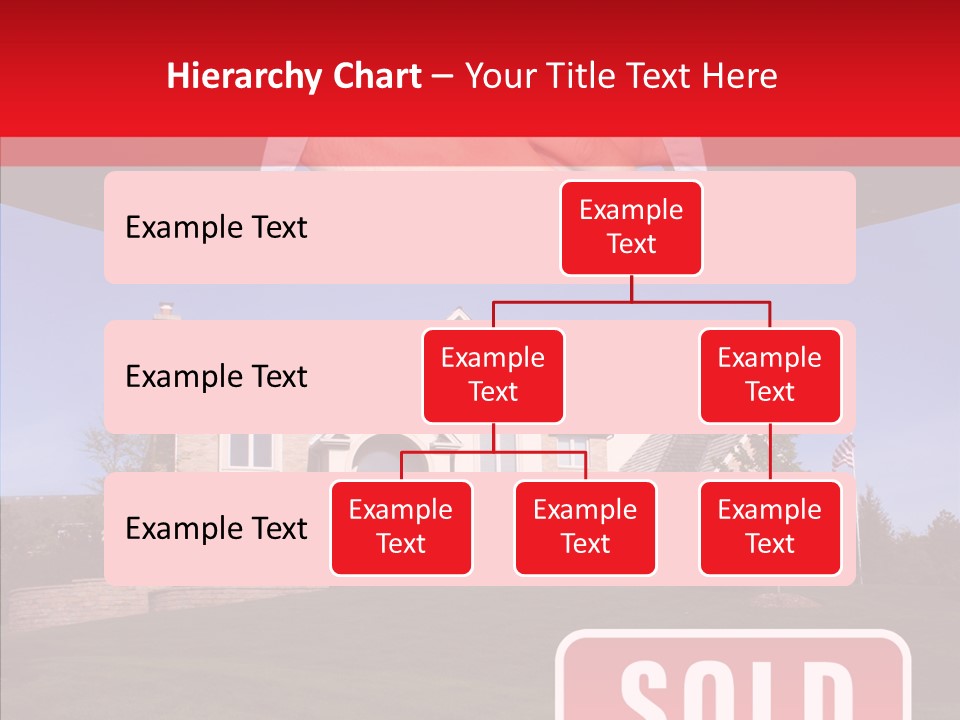 Closeup Holding Hands Assist PowerPoint Template