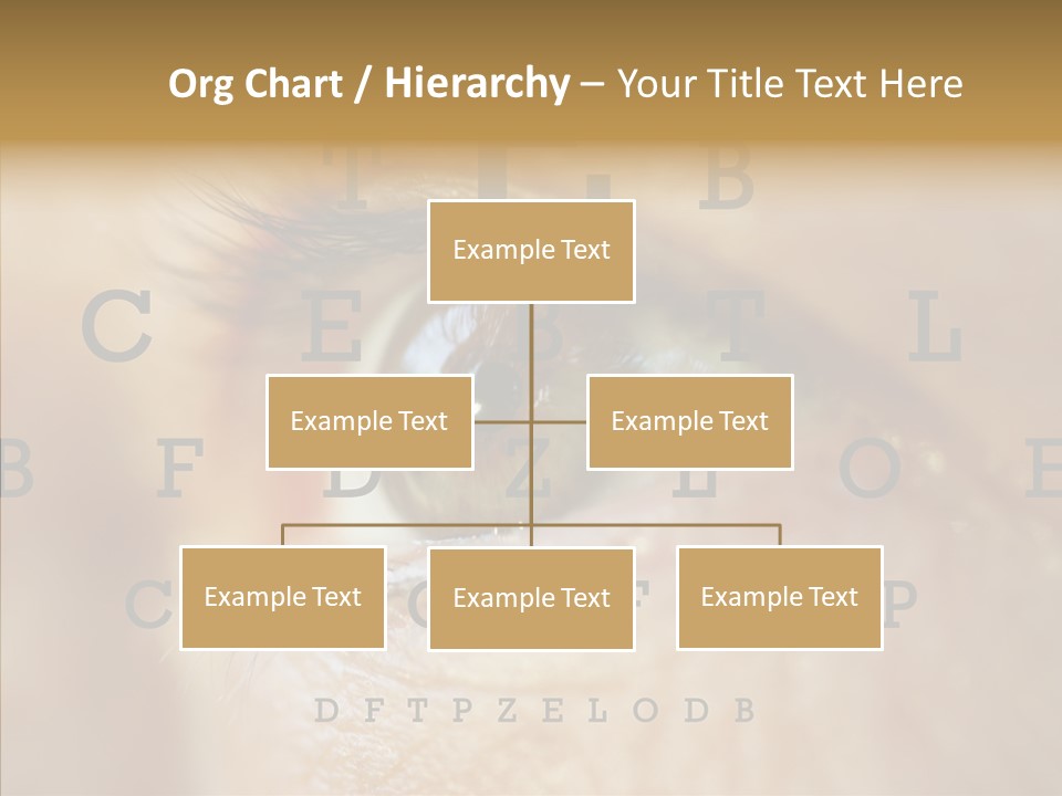 Elderly Hand Young PowerPoint Template