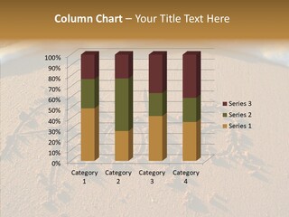 White Background Background Assist PowerPoint Template