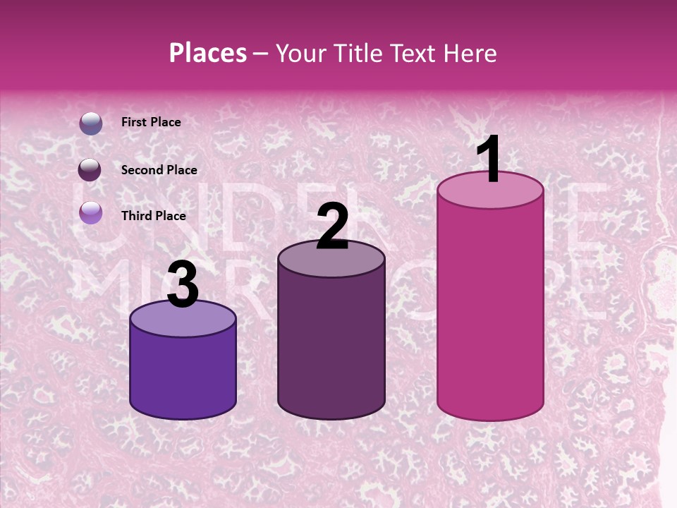 Care Aging Grandmother PowerPoint Template