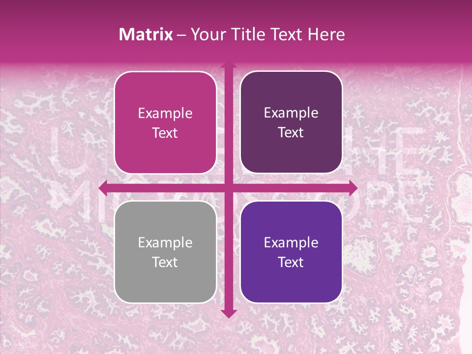 Care Aging Grandmother PowerPoint Template