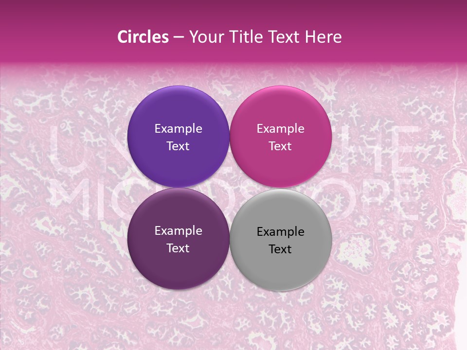 Care Aging Grandmother PowerPoint Template