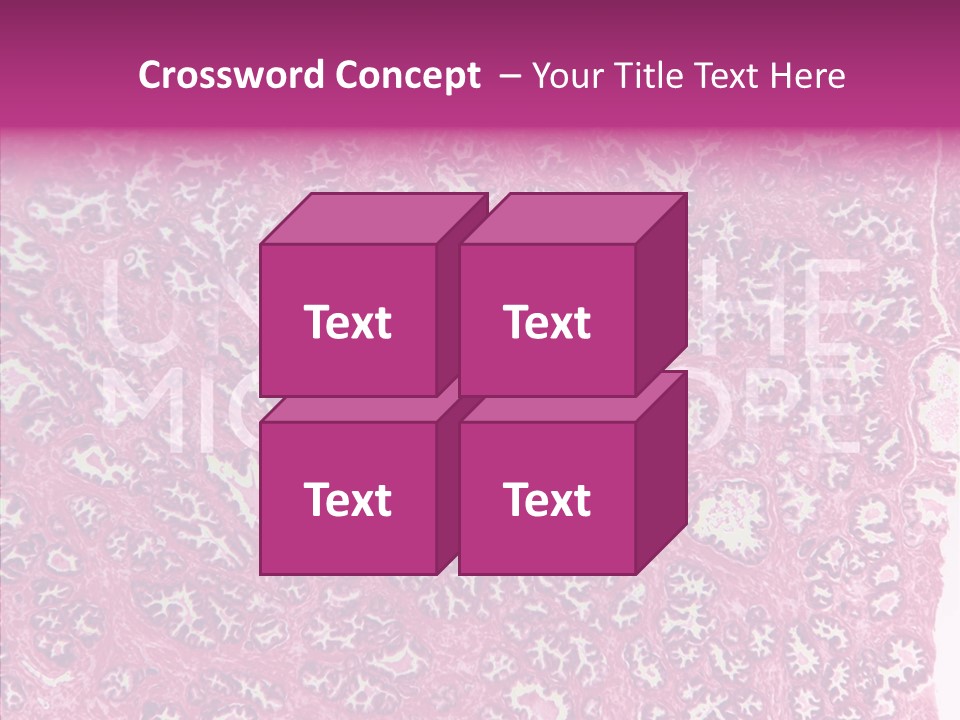 Care Aging Grandmother PowerPoint Template