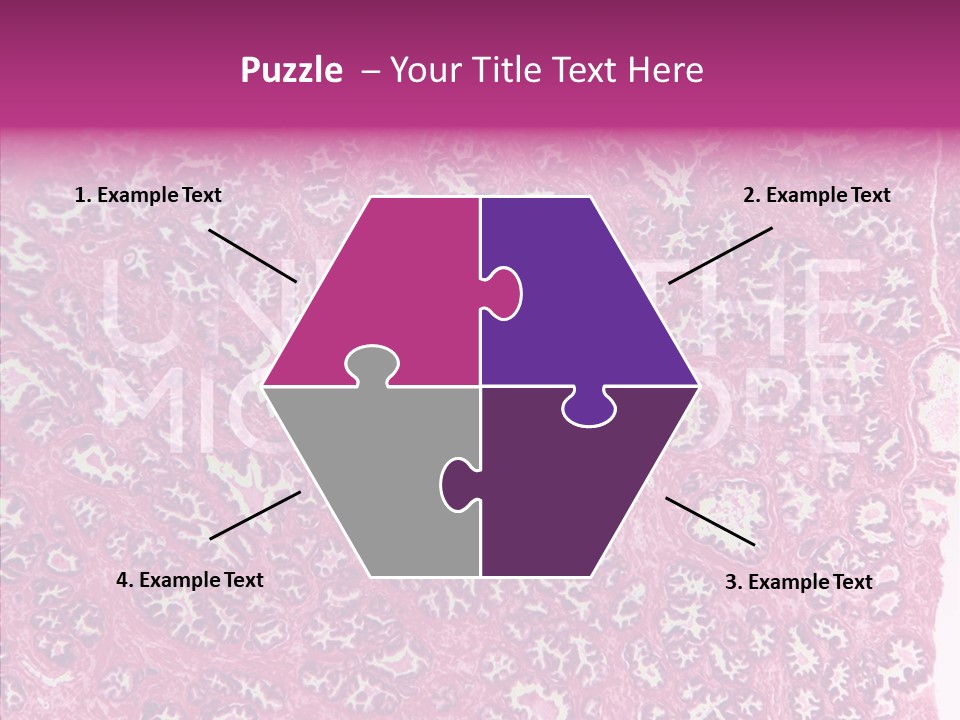 Care Aging Grandmother PowerPoint Template