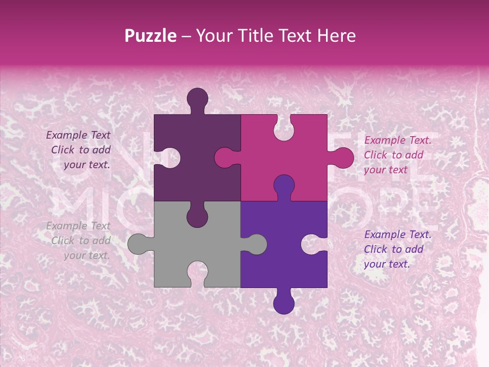 Care Aging Grandmother PowerPoint Template