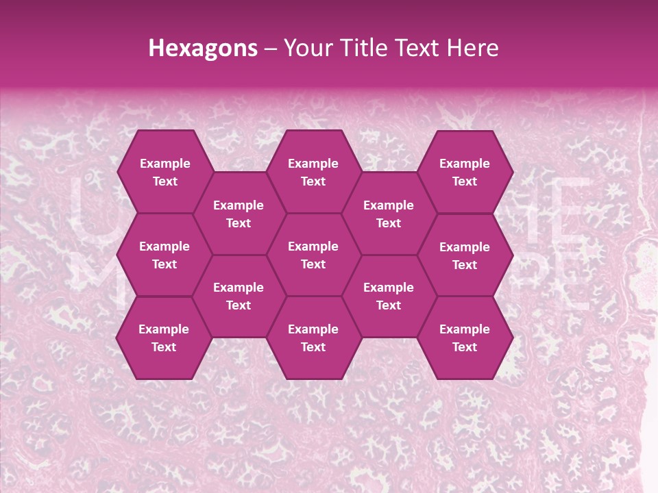 Care Aging Grandmother PowerPoint Template