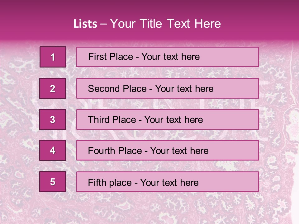Care Aging Grandmother PowerPoint Template