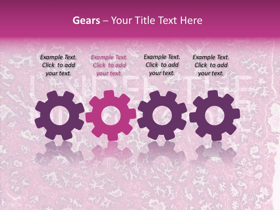 Care Aging Grandmother PowerPoint Template