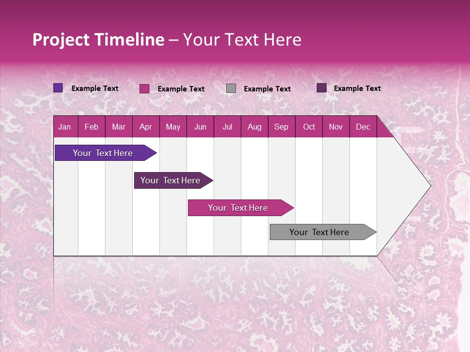 Care Aging Grandmother PowerPoint Template