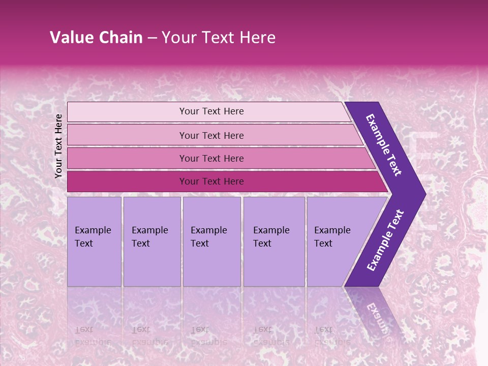 Care Aging Grandmother PowerPoint Template