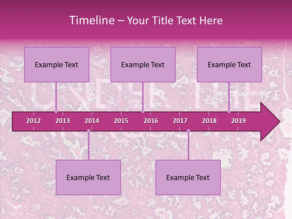 Care Aging Grandmother PowerPoint Template