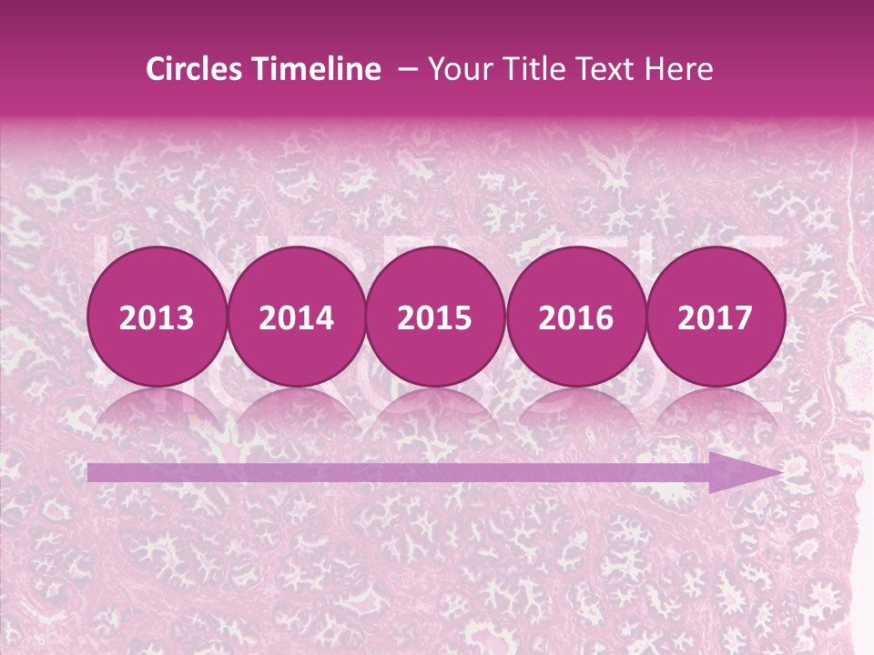 Care Aging Grandmother PowerPoint Template