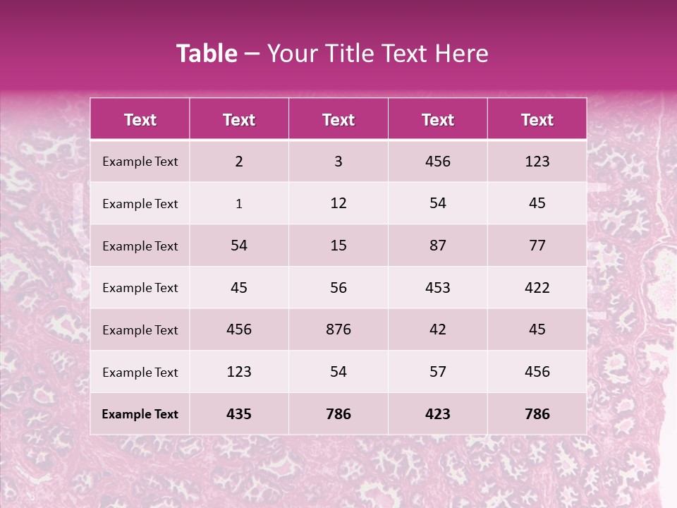 Care Aging Grandmother PowerPoint Template