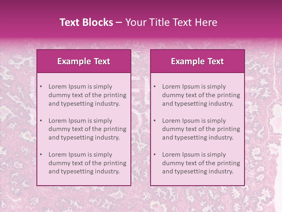 Care Aging Grandmother PowerPoint Template