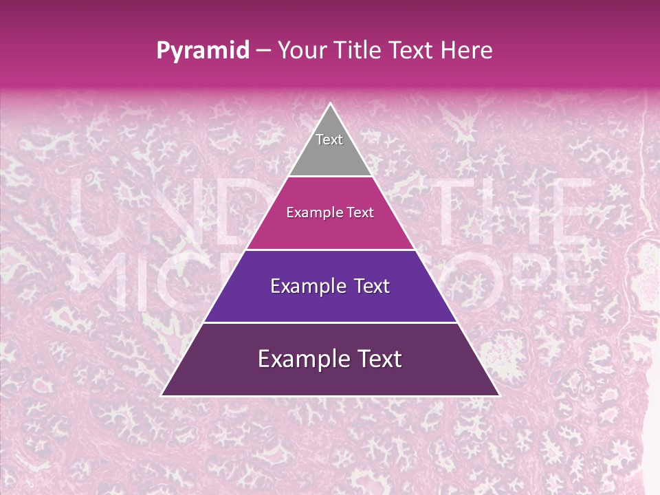 Care Aging Grandmother PowerPoint Template